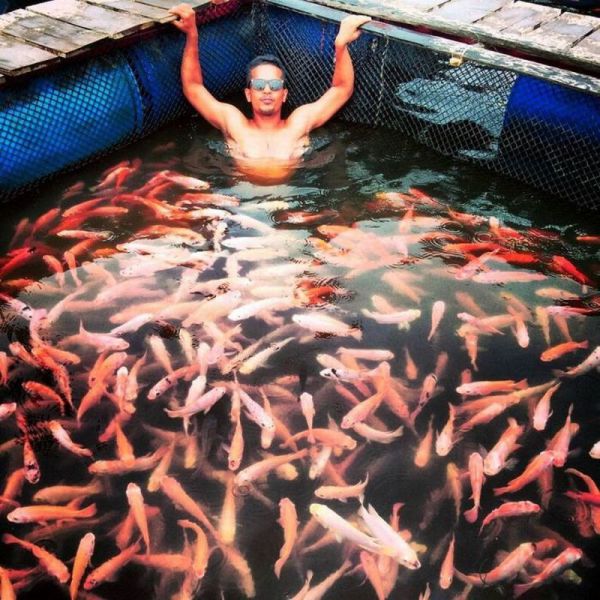 morning picdump 58 pics 20.html - 58 HD Photos | Premium Gallery 2014