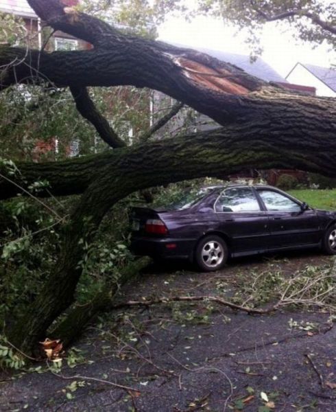 morning picdump 58 pics 20.html - 58 HD Photos | Premium Gallery 2014