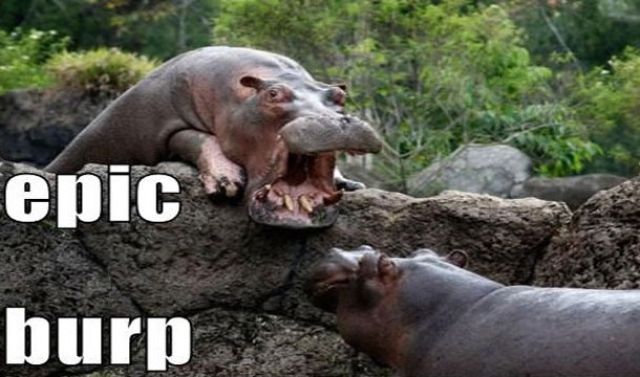 Bizarre Food Etiquette Rules You Need to Know