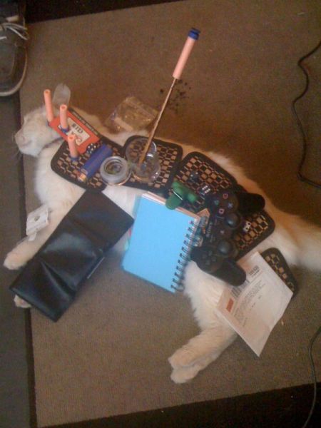 morning picdump 60 pics 7.html - 60 HD Photos | Premium Gallery 2014