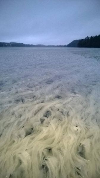 morning picdump 60 pics 7.html - 60 HD Photos | Premium Gallery 2014