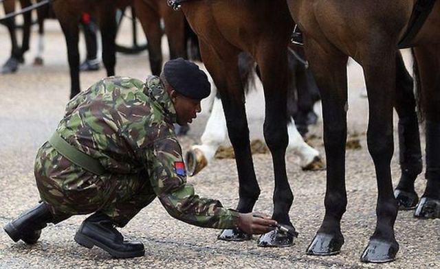 morning picdump 60 pics 7.html - 60 HD Photos | Premium Gallery 2014