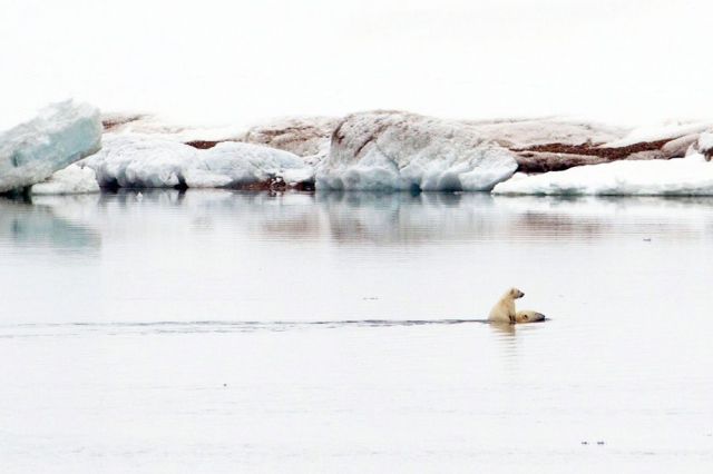 morning picdump 60 pics 7.html - 60 HD Photos | Premium Gallery 2014