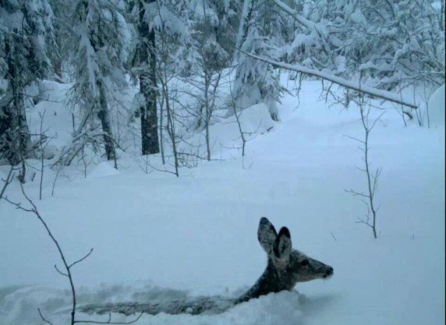 morning picdump 60 pics 7.html - 60 HD Photos | Premium Gallery 2014