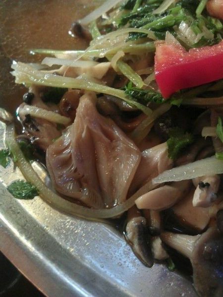 grownup corner 51 pics 2 gifs 3 videos 24.html - 51 HD Video | Premium Gallery 2014