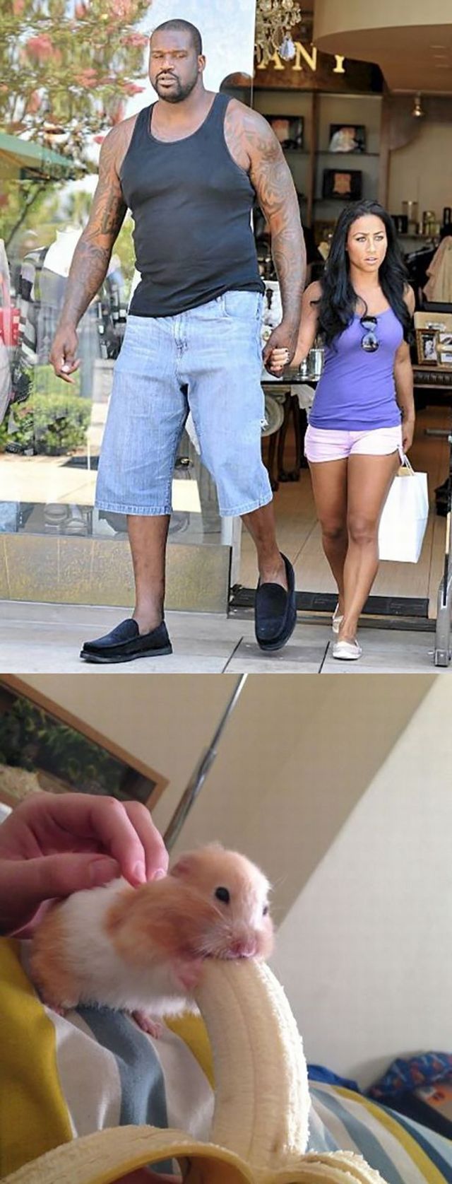 grownup corner 51 pics 2 gifs 3 videos 24.html - 51 HD Video | Premium Gallery 2014