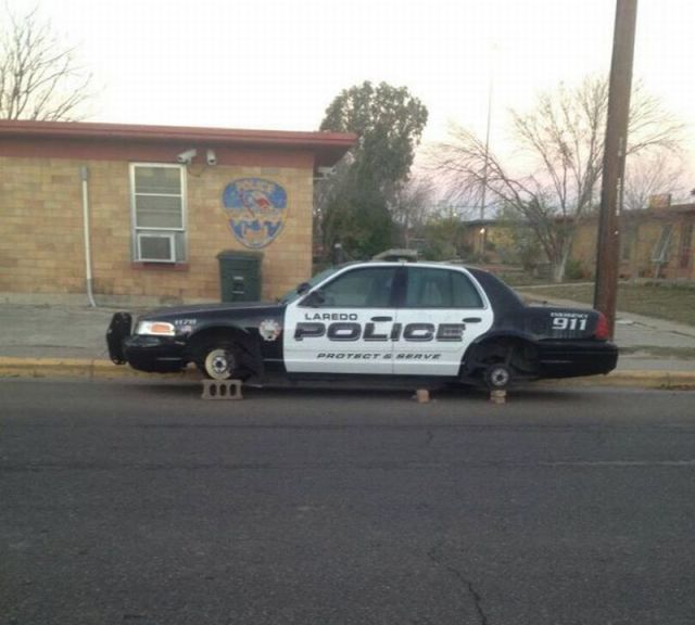 morning picdump 52 pics 12.html - 52 HD Photos | Premium Gallery 2014