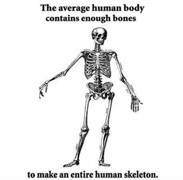 funny picdump 52 pics 4.html - 52 HD Photos | Premium Gallery 2014