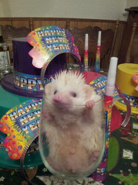 morning picdump 59 pics 7.html - 59 HD Photos | Premium Gallery 2014