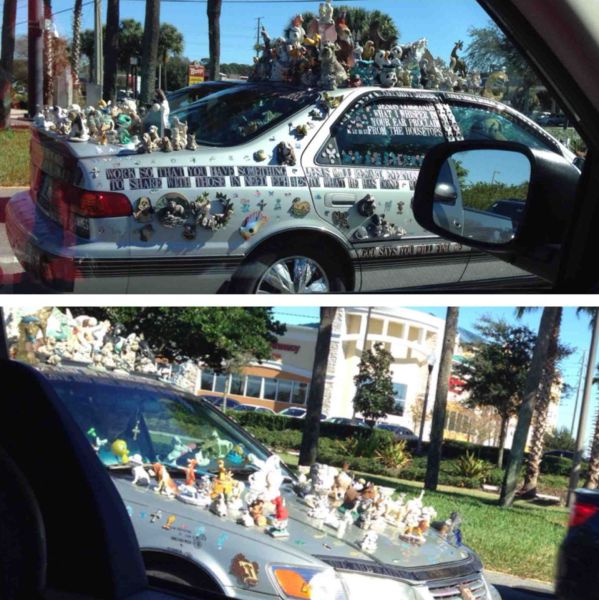 Morning Picdump