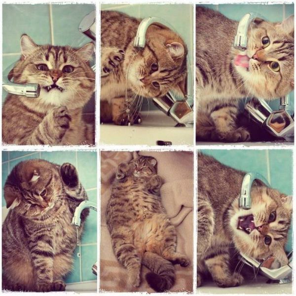 Morning Picdump