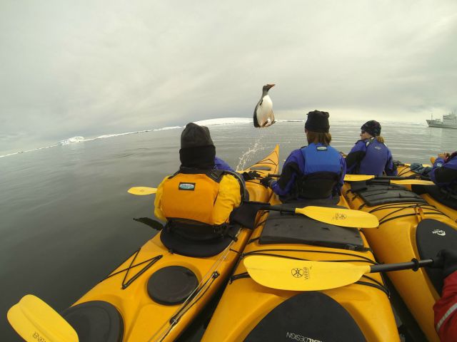 morning picdump 54 pics 5.html - 54 HD Photos | Premium Gallery 2014