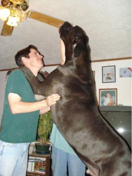 morning picdump 54 pics 5.html - 54 HD Photos | Premium Gallery 2014