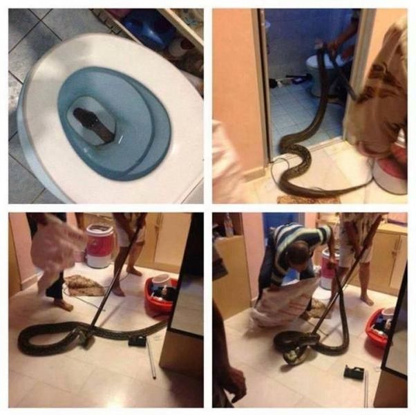 morning picdump 54 pics 5.html - 54 HD Photos | Premium Gallery 2014