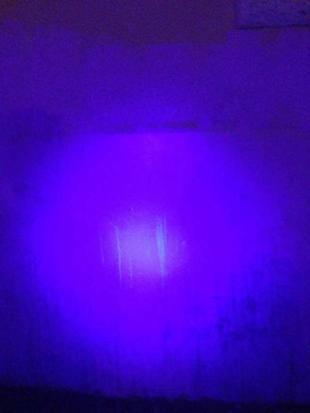 This Neglected Adult Theatre Is Simply Revolting