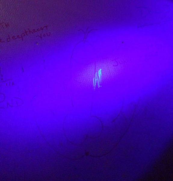 This Neglected Adult Theatre Is Simply Revolting