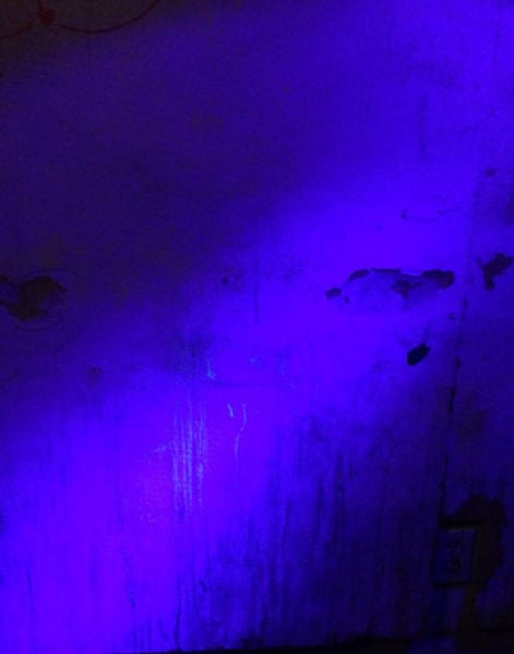 This Neglected Adult Theatre Is Simply Revolting