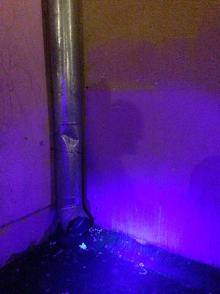 This Neglected Adult Theatre Is Simply Revolting