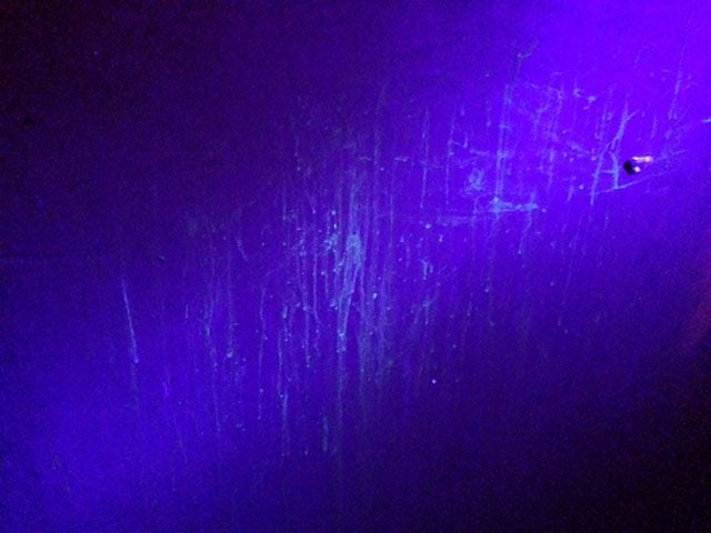 This Neglected Adult Theatre Is Simply Revolting