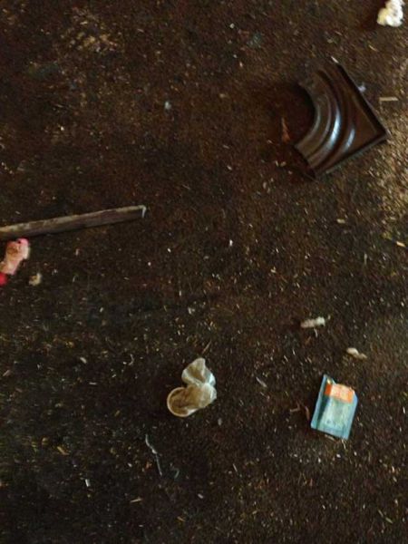 This Neglected Adult Theatre Is Simply Revolting