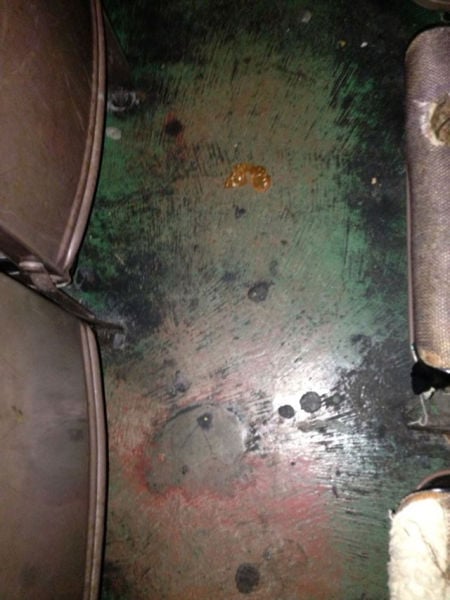 This Neglected Adult Theatre Is Simply Revolting