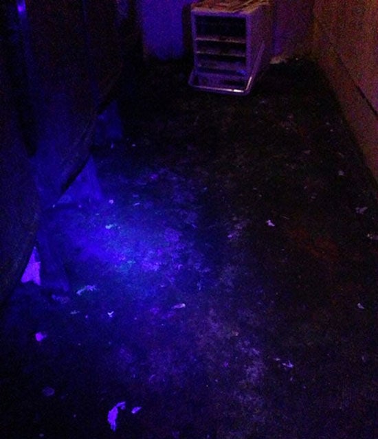 This Neglected Adult Theatre Is Simply Revolting