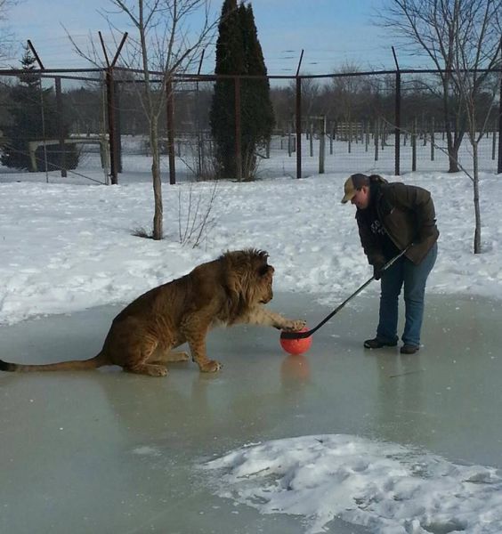 morning picdump 53 pics 16.html - 53 HD Photos | Premium Gallery 2014
