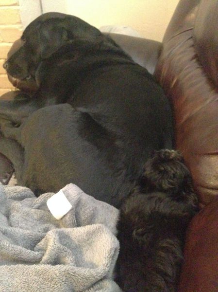 morning picdump 53 pics 16.html - 53 HD Photos | Premium Gallery 2014