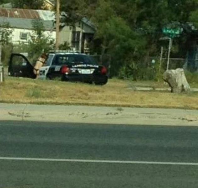 grownup corner 47 pics 6 gifs 3 videos 20.html - 47 HD Video | Premium Gallery 2014