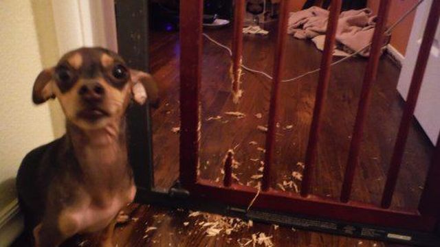 morning picdump 56 pics 2.html - 56 HD Photos | Premium Gallery 2014