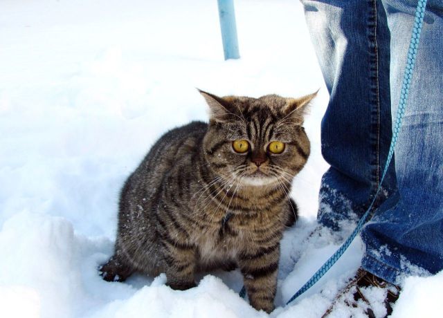 morning picdump 56 pics 2.html - 56 HD Photos | Premium Gallery 2014