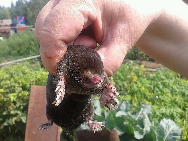 morning picdump 56 pics 2.html - 56 HD Photos | Premium Gallery 2014