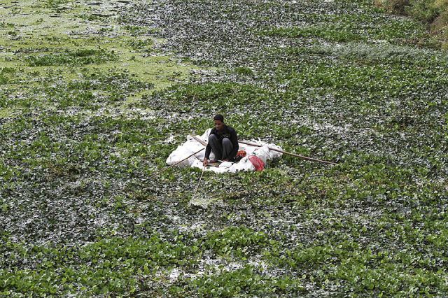 morning picdump 54 pics 21.html - 54 HD Photos | Premium Gallery 2014