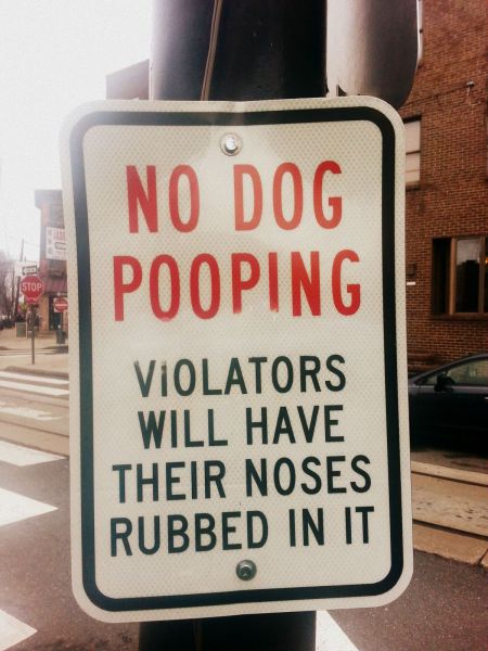 morning picdump 54 pics 21.html - 54 HD Photos | Premium Gallery 2014