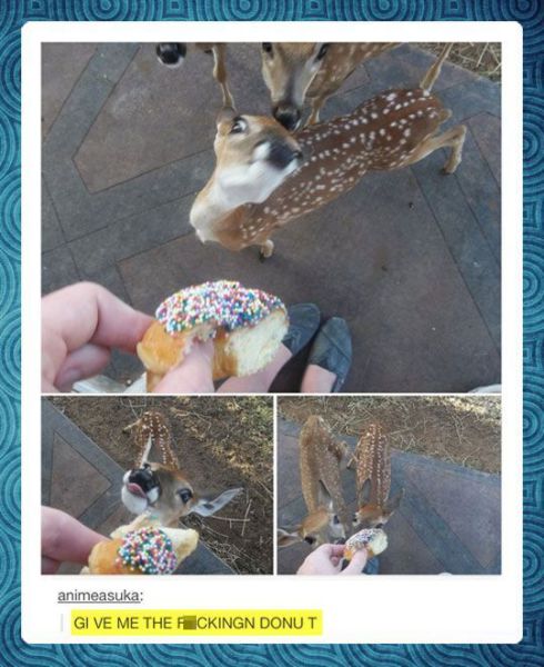 morning picdump 54 pics 21.html - 54 HD Photos | Premium Gallery 2014