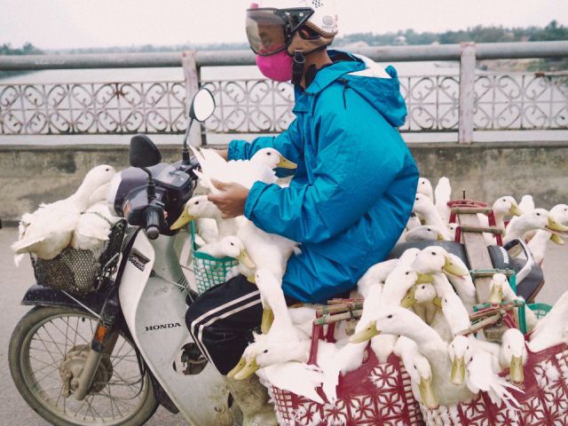 morning picdump 54 pics 9.html - 54 HD Photos | Premium Gallery 2014