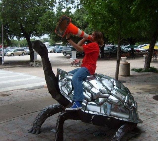 Morning Picdump