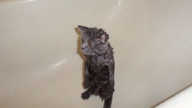 morning picdump 57 pics 9.html - 57 HD Photos | Premium Gallery 2014