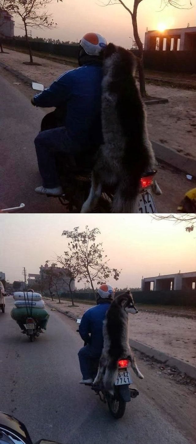 morning picdump 57 pics 9.html - 57 HD Photos | Premium Gallery 2014