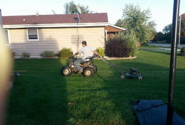Daily Picdump