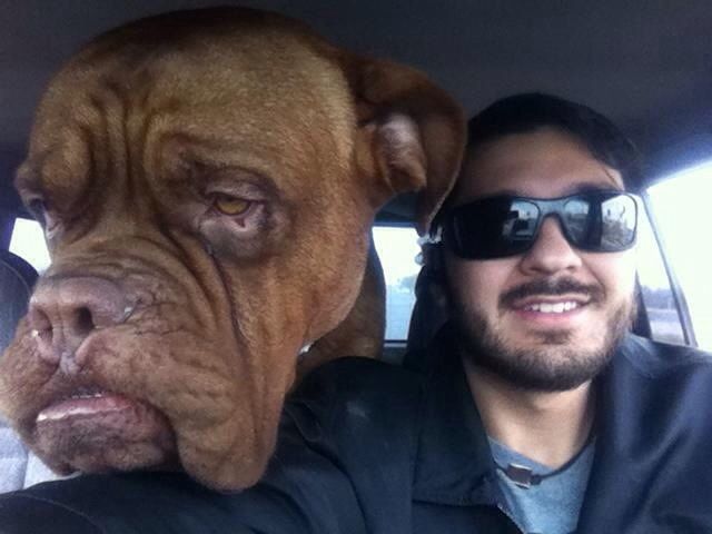 daily picdump 98 pics 2.html - 98 HD Photos | Premium Gallery 2014