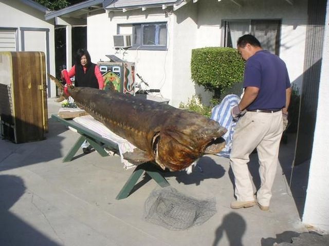 daily picdump 98 pics 2.html - 98 HD Photos | Premium Gallery 2014