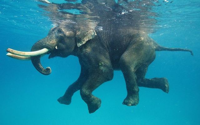 daily picdump 98 pics 2.html - 98 HD Photos | Premium Gallery 2014