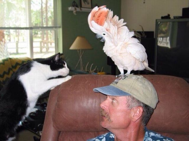 daily picdump 98 pics 2.html - 98 HD Photos | Premium Gallery 2014