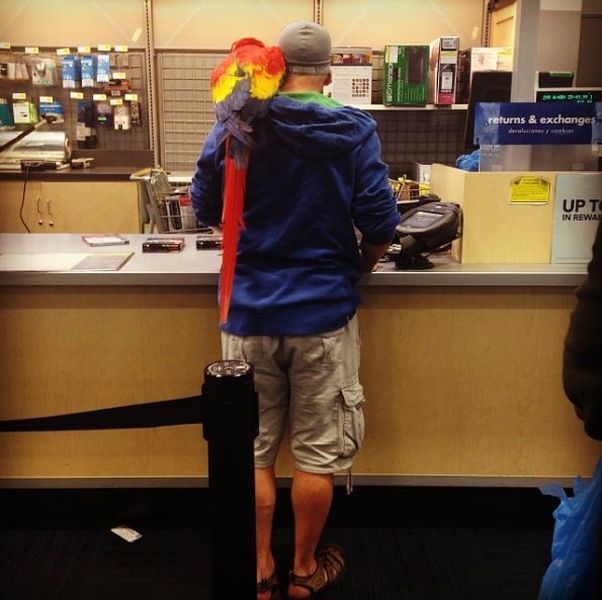 Morning Picdump