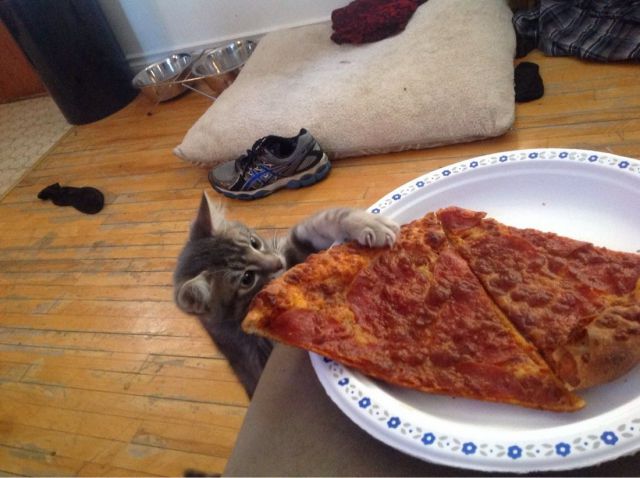 Morning Picdump