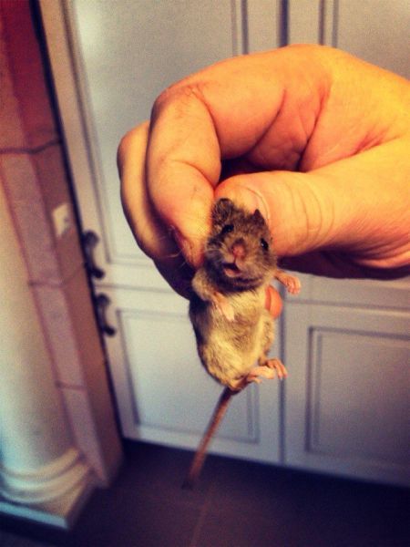 morning picdump 52 pics 13.html - 52 HD Photos | Premium Gallery 2014