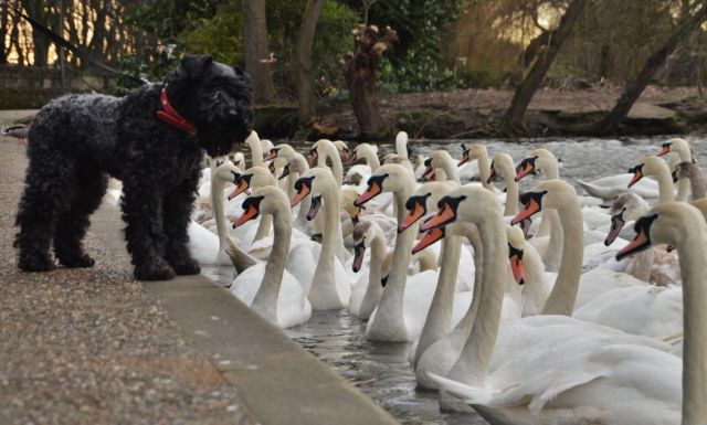 morning picdump 52 pics 13.html - 52 HD Photos | Premium Gallery 2014