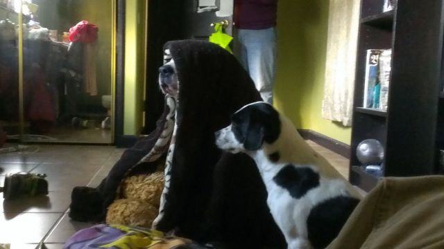 morning picdump 52 pics 13.html - 52 HD Photos | Premium Gallery 2014