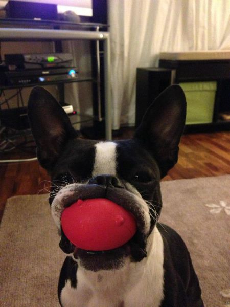 morning picdump 52 pics 13.html - 52 HD Photos | Premium Gallery 2014